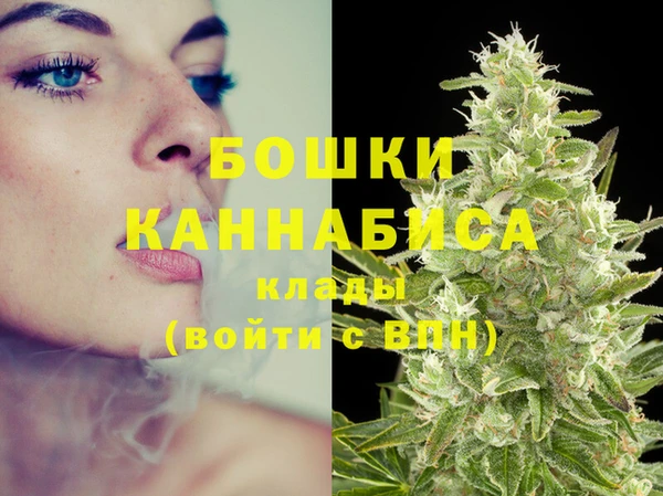 спайс Белокуриха