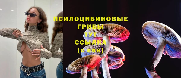 альфа пвп Михайловск