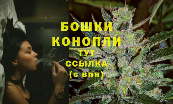 ешки Богданович